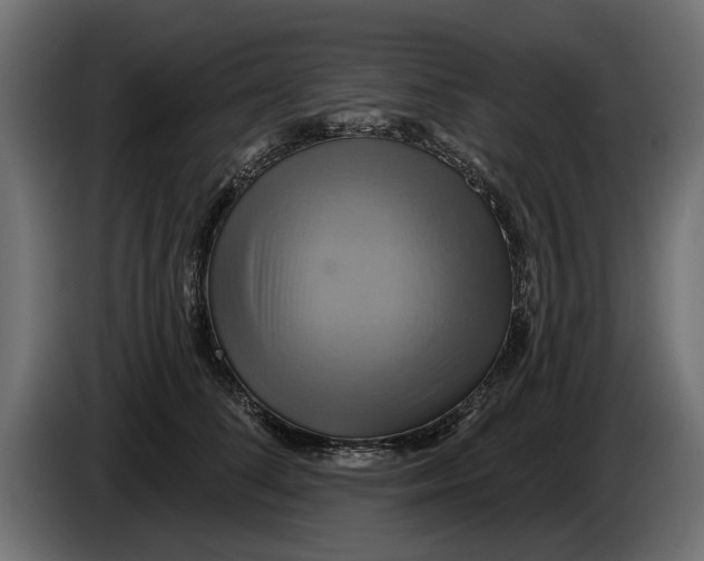 X0000086020708200704131850