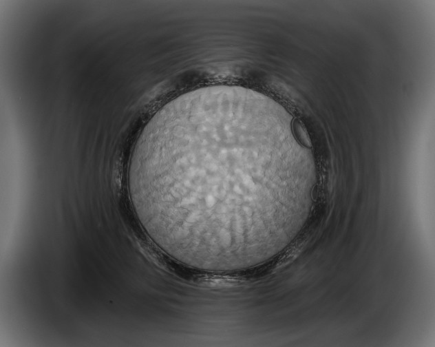 X0000086020710200704131850