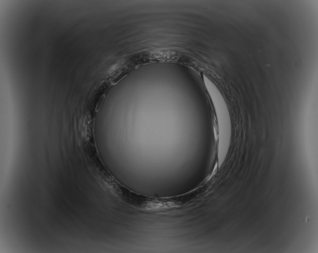 X0000086020712200704131850