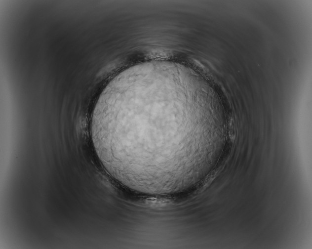 X0000086020714200704131850