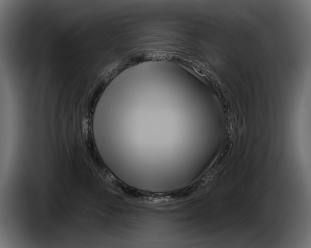 X0000086020716200704131850