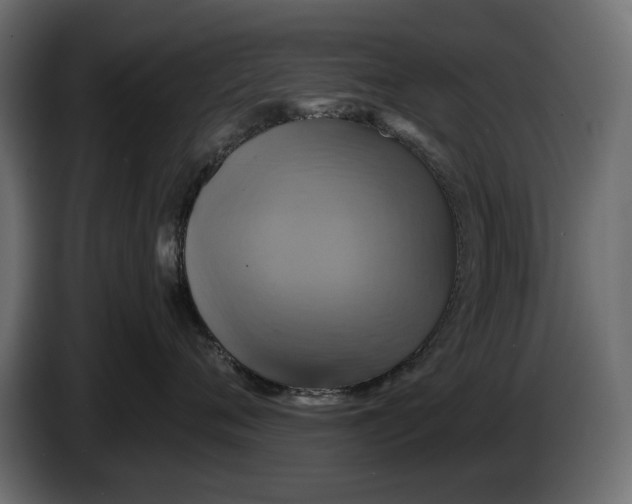 X0000086020720200704131850