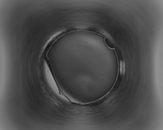 X0000086020723200704131849