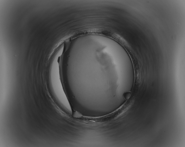 X0000086020725200704131849