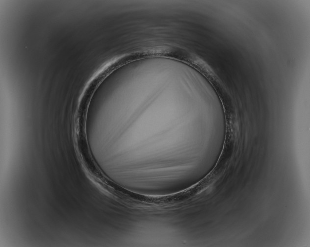 X0000086020726200704131849