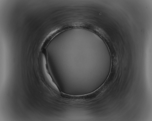 X0000086020727200704131849
