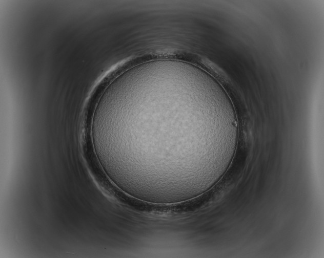 X0000086020728200704131849