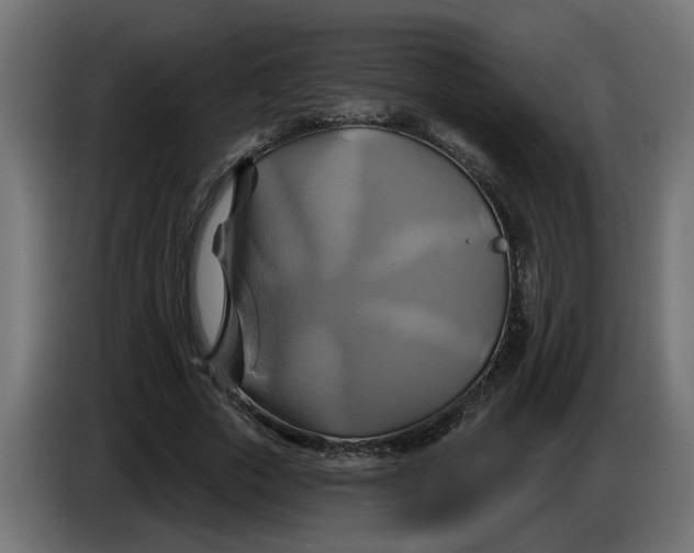 X0000086020729200704131849
