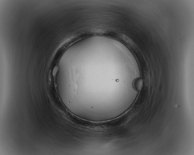 X0000086020731200704131849
