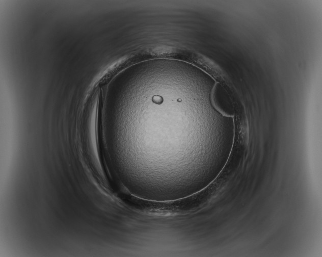X0000086020732200704131849