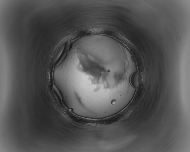 X0000086020733200704131849