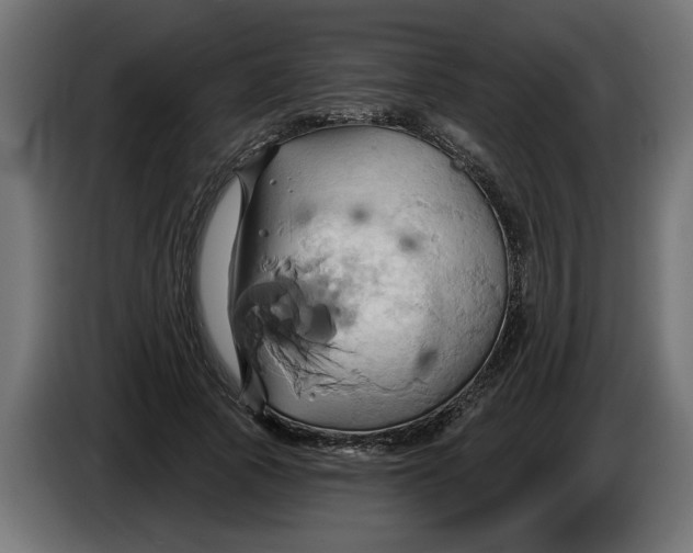 X0000086020737200704131849