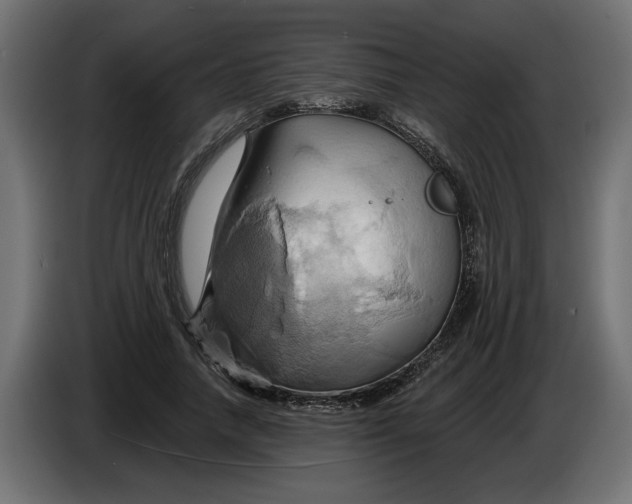 X0000086020738200704131849