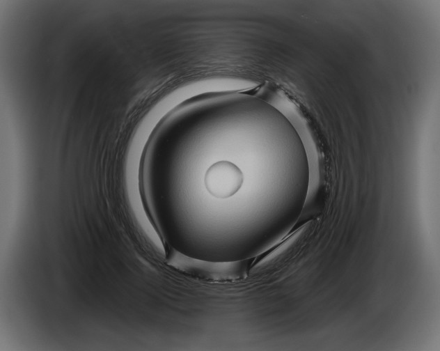 X0000086020740200704131849