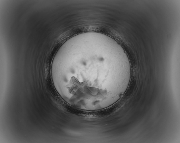 X0000086020741200704131849