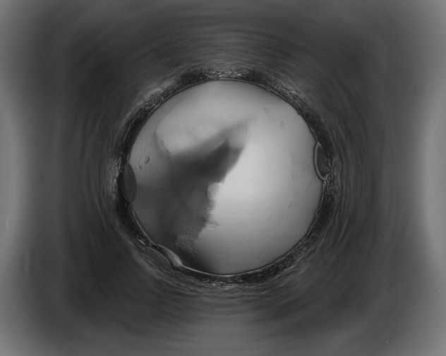 X0000086020742200704131849
