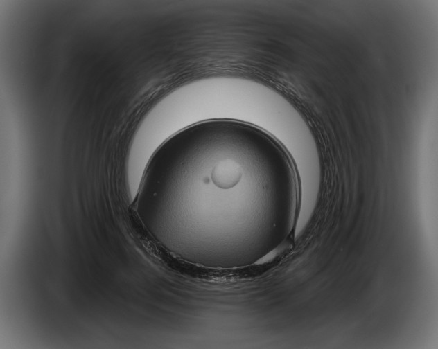 X0000086020744200704131849