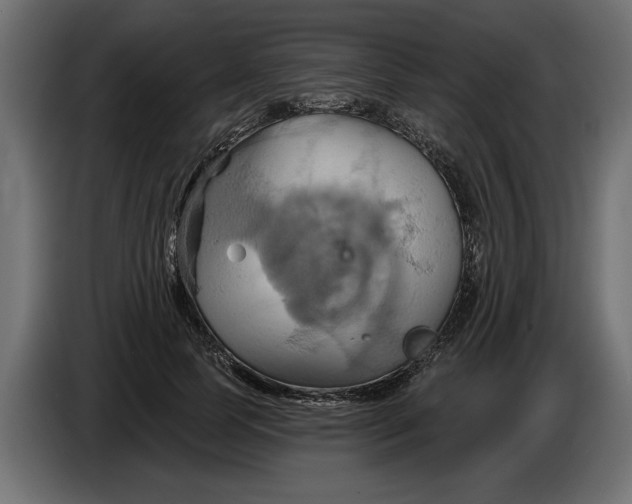 X0000086020745200704131849
