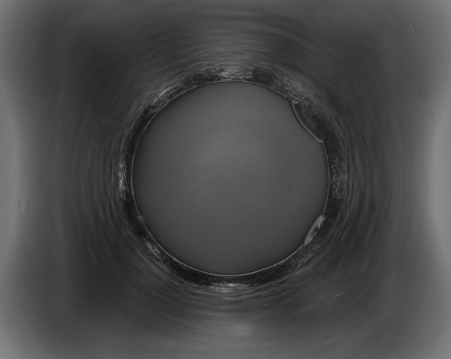X0000086020748200704131849