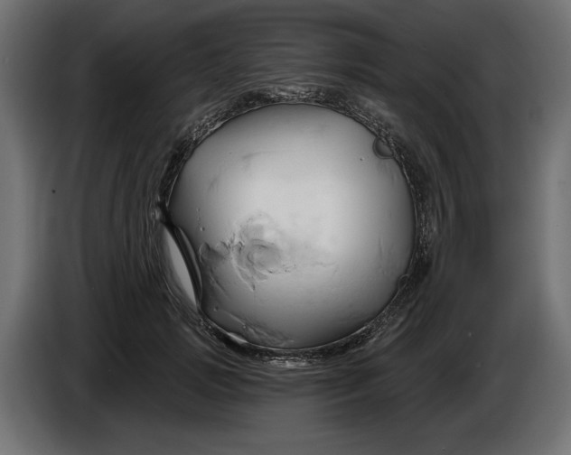 X0000086020749200704131849