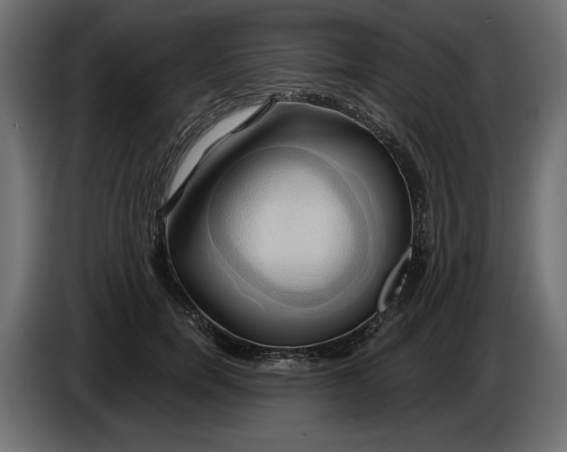 X0000086020750200704131849
