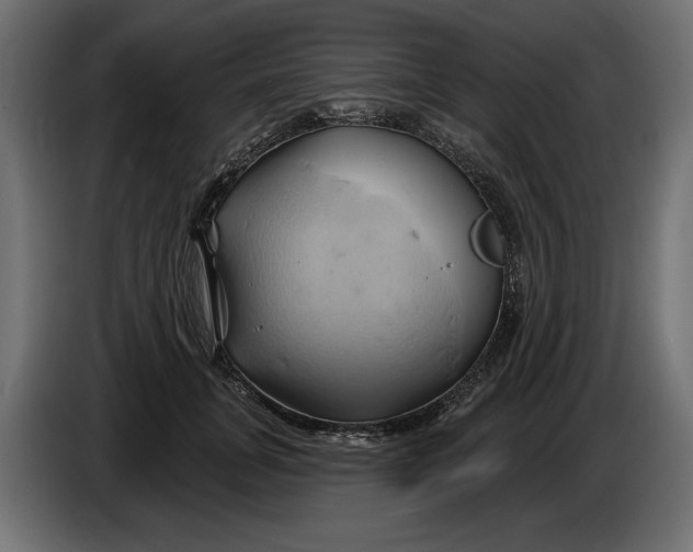 X0000086020751200704131849