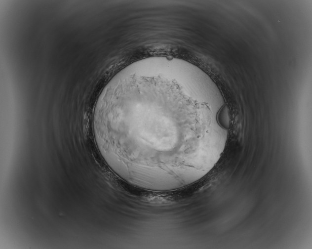 X0000086020753200704131850