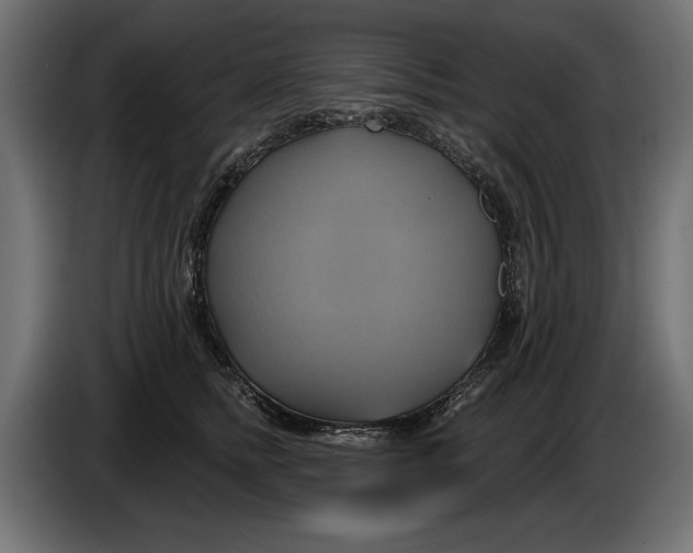X0000086020758200704131850