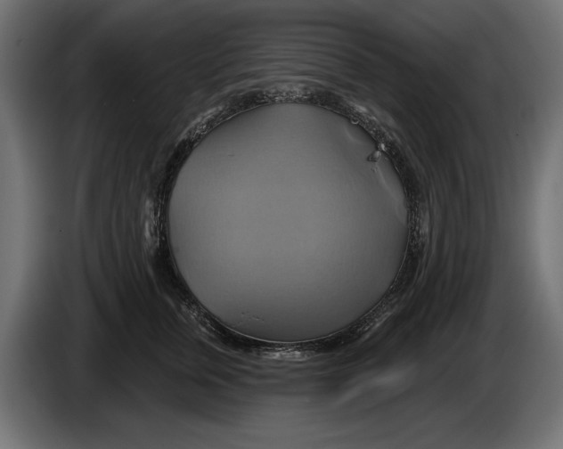 X0000086020759200704131850