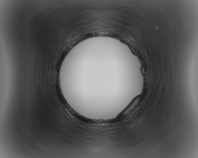 X0000086020760200704131850