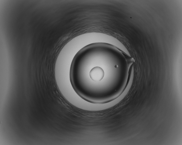 X0000086020762200704131850