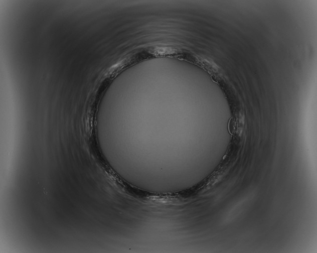 X0000086020763200704131850
