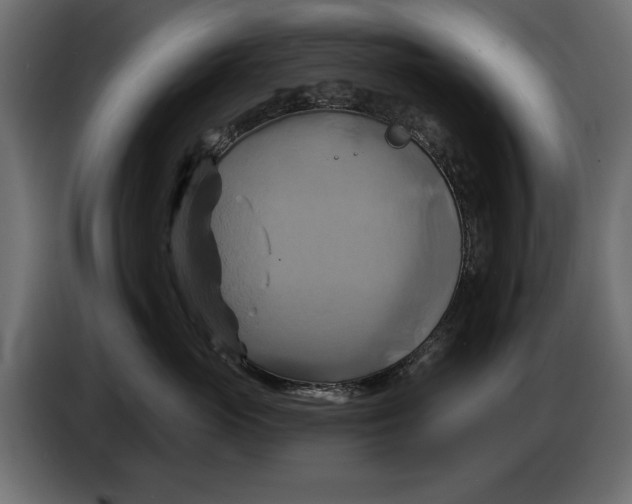X0000086020765200704131850
