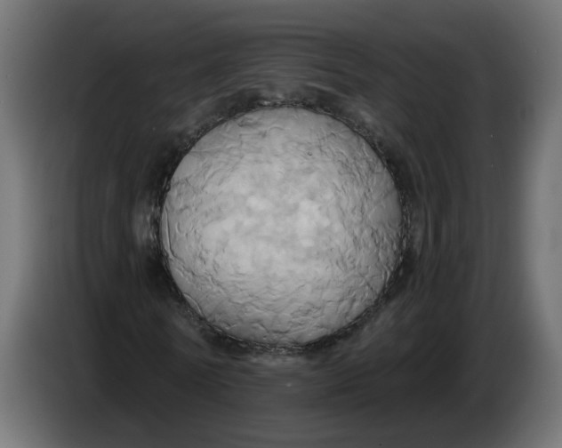 X0000086020770200704131849