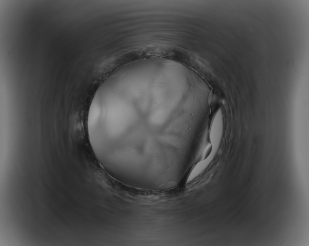 X0000086020771200704131849