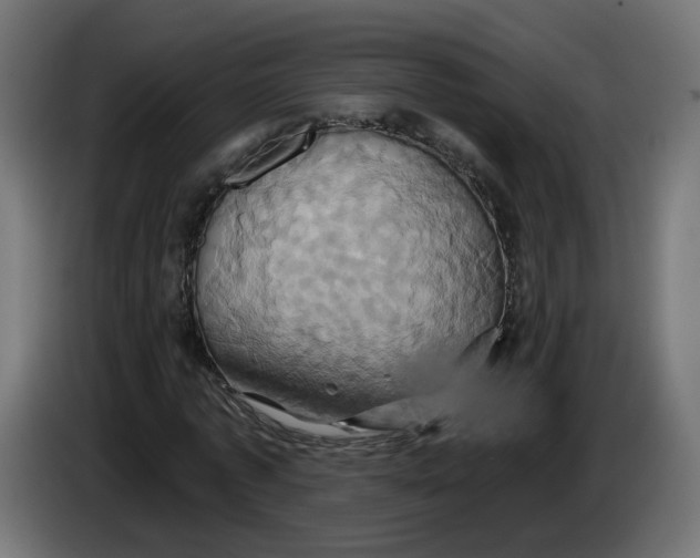 X0000086020773200704131849