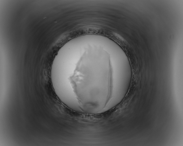 X0000086020774200704131849