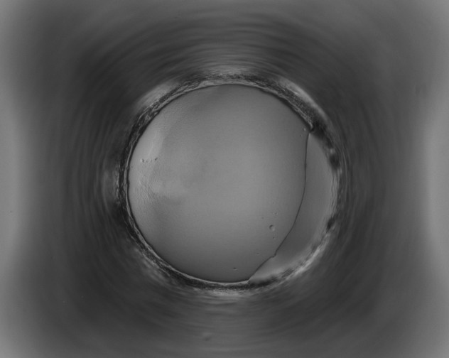 X0000086020777200704131849