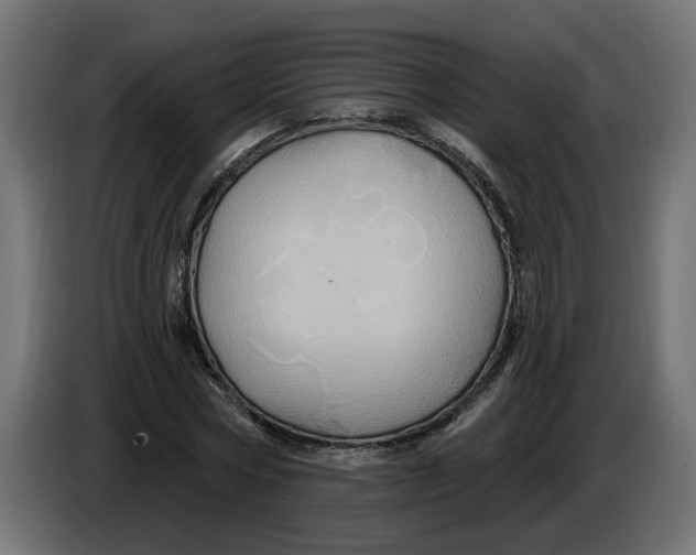 X0000086020778200704131849