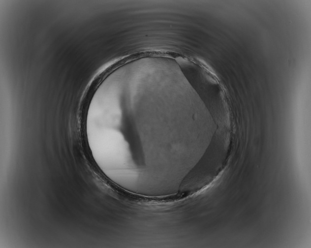 X0000086020779200704131849
