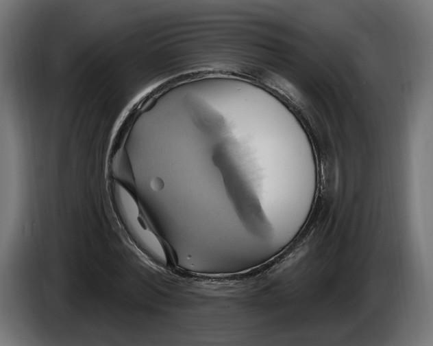 X0000086020780200704131849