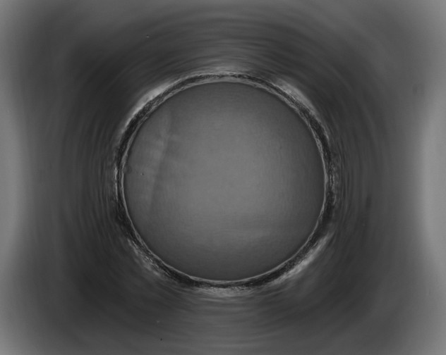 X0000086020781200704131849
