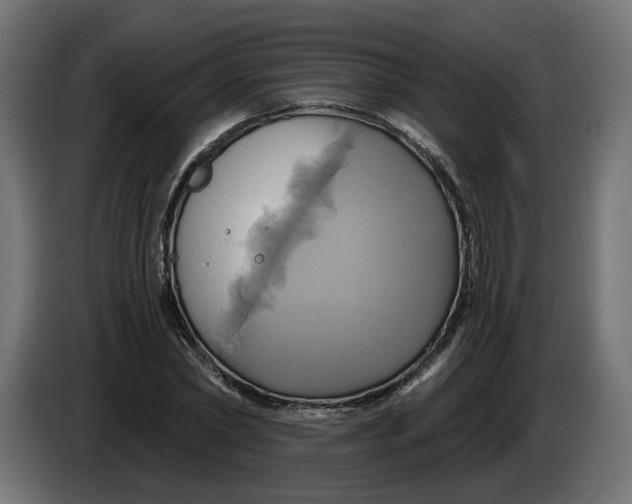 X0000086020782200704131849