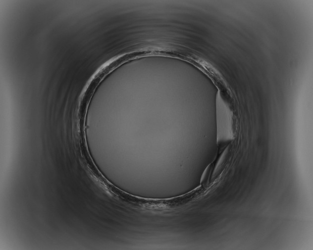 X0000086020784200704131849