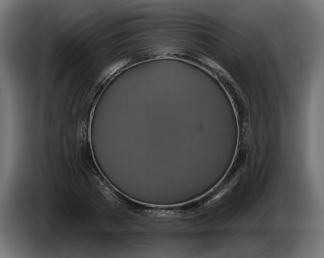 X0000086020785200704131849