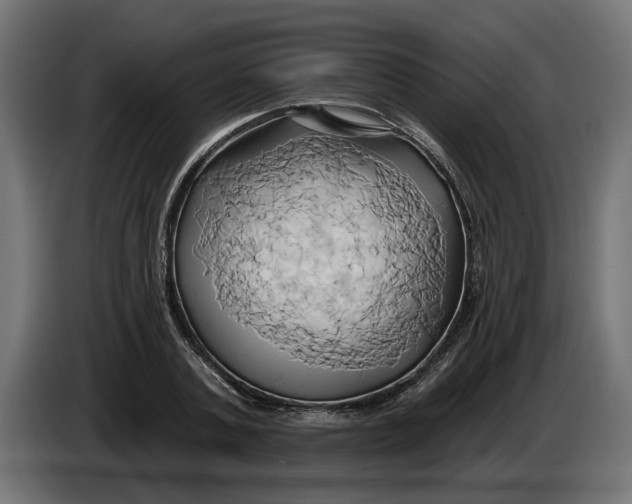 X0000086020787200704131849
