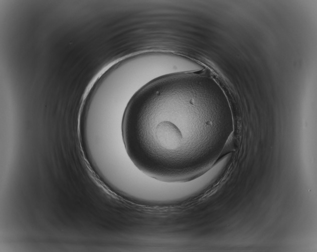 X0000086020788200704131849