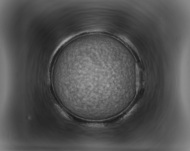 X0000086020789200704131849