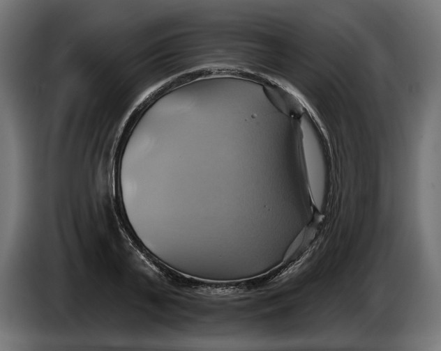 X0000086020791200704131849