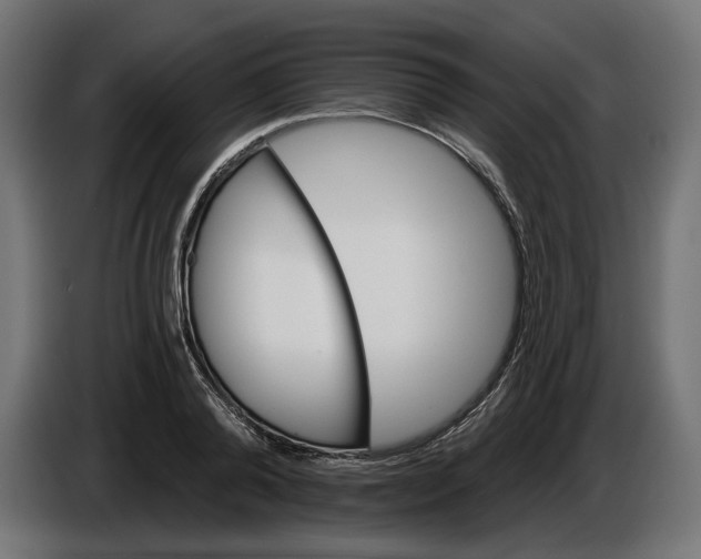 X0000086020792200704131849